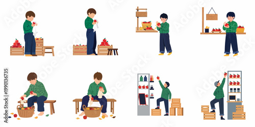 Set of illustrations depicting a young boy harvesting, cleaning, and selling fresh red apples at a market stall or orchard.