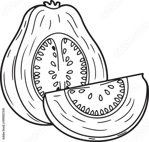Line art of a halved papaya with a slice showing seeds and pulp isolated on white