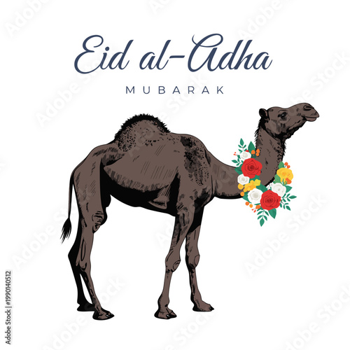 camel in the desert