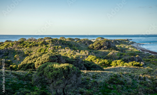 Panoramic coastal hills with dense vegetation and ocean view on Rottnest Island, Western Australia, 11 July 2022