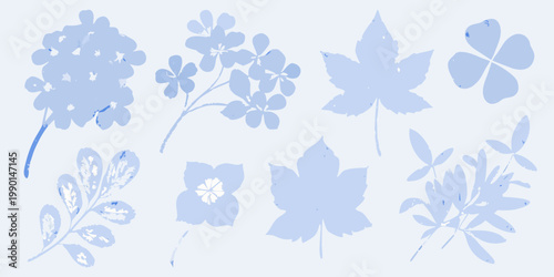 Delicate blue cyanotype prints of various botanical leaf specimens
