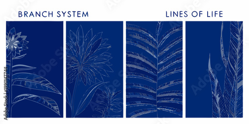 Botanical study Branch systems and lines of life in blue tones