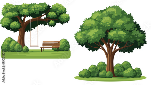Large green leafy tree with a wooden swing and a park bench set on a grassy area isolated for nature landscape and backyard garden design.