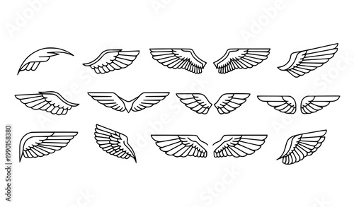 Minimal falcon wing outline icons with elegant feather shapes in modern line vector style