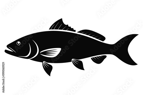 Barramundi silhouette vector, fish icon vector illustration, Barramundi Fish  black symbol
