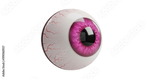 Pink Eyeball with Visible Veins