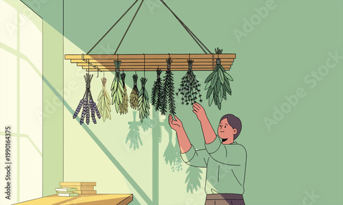A person arranging bundles of fresh herbs on a hanging wooden rack to dry