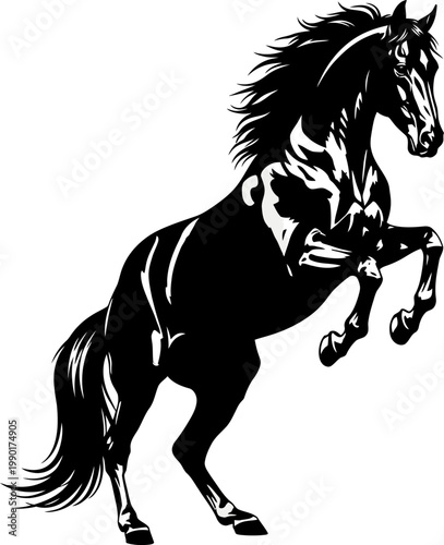 Rearing Black Horse Silhouette Illustration Art.