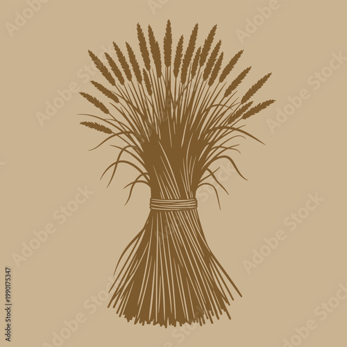 Sheaf of Wheat Bundle Standing Upright.