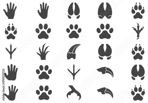 Diverse collection of animal paw prints and wildlife footprints silhouette icons for various species