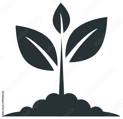 Sprout seedling silhouette emerging from soil a sign of growth and springtime freshness