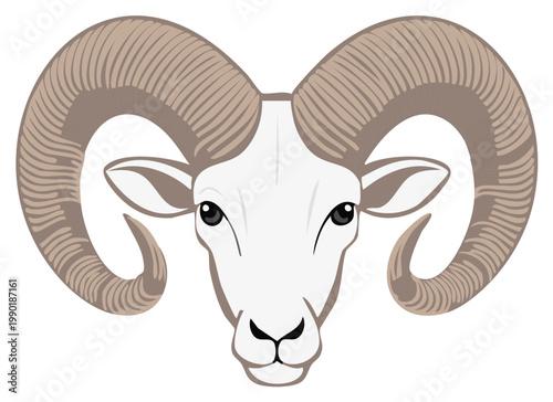 Symmetrical Vector Illustration of a Bighorn Sheep Head with Large Horns