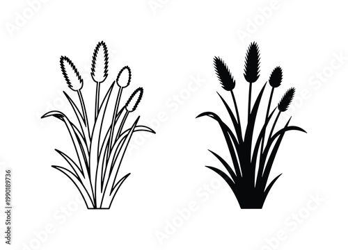 Minimalist pampas grass vector icons, black silhouette and line art reed plant illustrations, botanical cattail and meadow grass elements for logo design