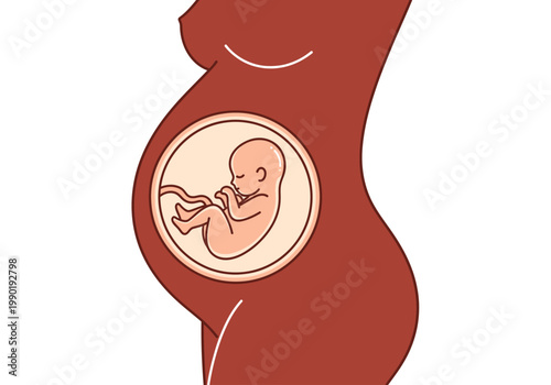 Minimalist Illustration of a Pregnant Woman Profile Showing Fetus in Womb, Prenatal Development and Maternal Health Concept
