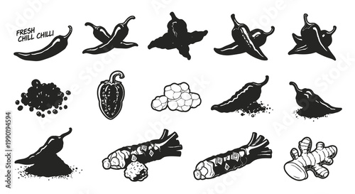 Spicy Chili and Aromatic Herbs Vector Set