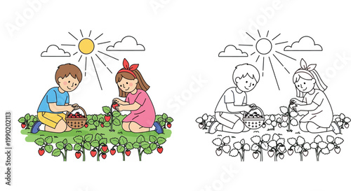 Kids Picking Strawberries in Garden Illustration and Coloring Page for Children - Cute Boy and Girl Harvesting Berries on a Sunny Farm Field, Outdoor Nature Activity Vector