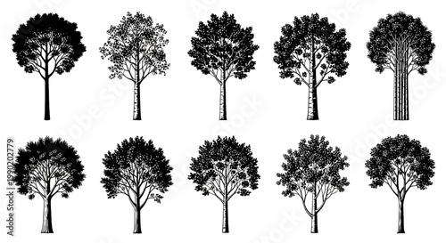 Collection of diverse tree silhouettes in black on white background for design and graphic use
