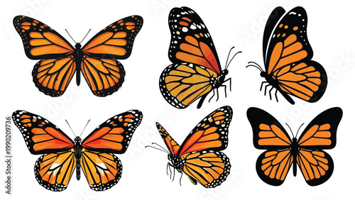 Monarch Butterflies Set with Various Flying Poses Isolated on Transparent PNG Background Orange Black Vector Illustration