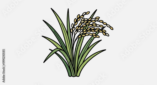 Rice plant illustration featuring detailed grains and slender leaves on a clean background perfect for agricultural or culinary design projects