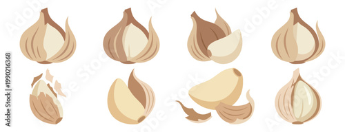 CLOVE PEEL - Individual garlic clove partially peeled from husk  Flat Vector Illustration on Transparent Background