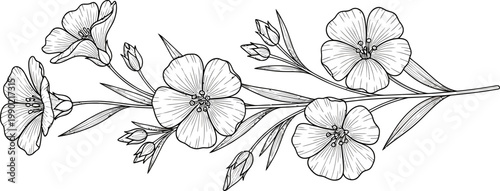 Hand Drawn Botanical Vector Illustration of Flax Flowers Branch with Detailed Line Art and Floral Elements