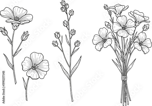 Hand Drawn Botanical Flax Flower Vector Illustration Set Featuring Individual Stems Buds and a Tied Bouquet Bundle