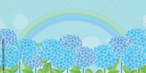 Beautiful Blue Hydrangea Flowers Blooming under a Bright Rainbow