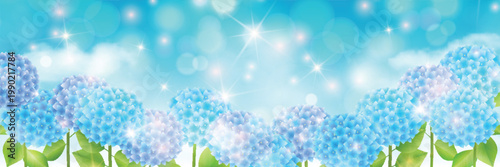 Beautiful blue hydrangea flowers on a sparkling sky background