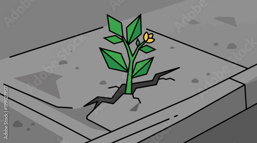 Green plant growing through a crack in concrete pavement.