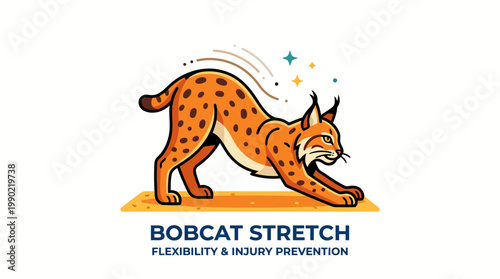 Bobcat stretching with flexibility and injury prevention text.