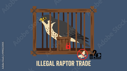 Falcon Trapped Inside Wooden Cage Illegal Raptor Trade Concept.
