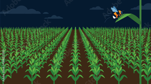 Butterfly flying over a vast cornfield at night.