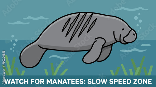 Gentle Manatee Swimming Gracefully in Blue Water with Aquatic Plants.