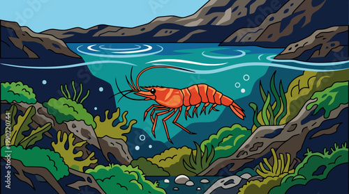 Orange shrimp swimming in clear blue water surrounded by aquatic plants.