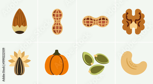 Flat illustration of healthy and diverse nuts and seeds collection almonds, peanuts, walnuts, cashews, sunflower, pumpkin for nutritious snacks