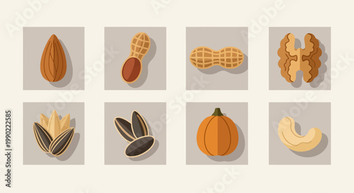 A collection of various nuts and seeds, including almonds, peanuts, walnuts, sunflower seeds, pumpkin seeds, and cashews, presented in a clean, modern illustration style