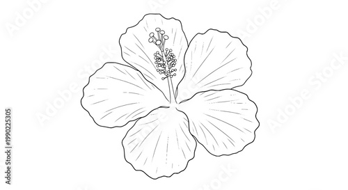 Flower doodle outline with delicate pollen center and hand-sketched petals for botanical design and creative branding