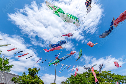 五月晴れの空を泳ぐ鯉のぼり