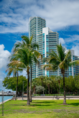 Modern white skyscraper behind tropical palm trees in Miami. Low angle view of a high-rise residential building facade framed by green palm leaves against a blue sky.