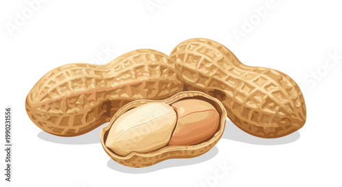 raw peanuts in shells and one open shell with two nuts inside representing healthy organic protein snacks for diet and nutrition recipes.