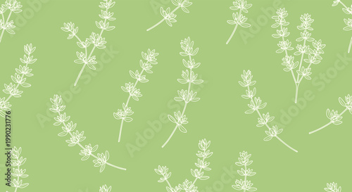Beautiful seamless pattern featuring white line drawings of thyme sprigs on a soft green background, perfect for kitchen decor or herbal products.
