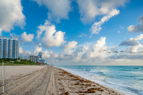 Wide sandy beach with tire tracks and flying birds. Empty shoreline with vehicle tracks on sand and pelicans flying over the ocean waves.