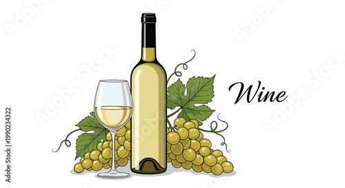 Sophisticated still life illustration featuring a bottle of white wine, a filled wine glass, and two large clusters of green grapes.