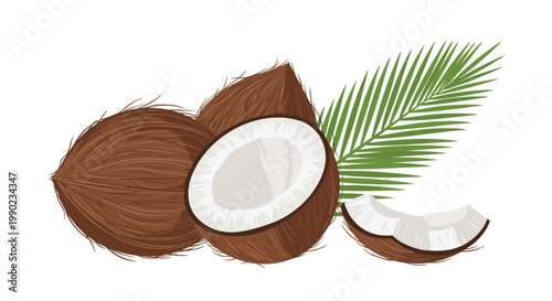 Realistic illustration of whole and halved brown coconuts with fresh white meat and a green palm leaf isolated on white background.