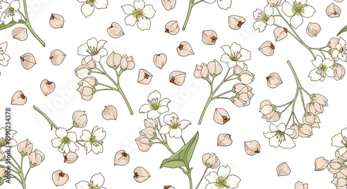 Small white buckwheat flowers and heart-shaped seeds form a delicate seamless botanical pattern on a plain background.