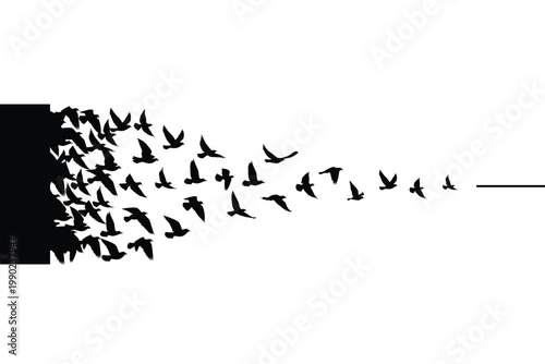 Flying birds silhouettes wallpaper pattern.