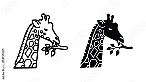 Minimalist giraffe head vector icons, wild animal eating leaves from tree branch, black and white safari giraffe silhouette and line art set