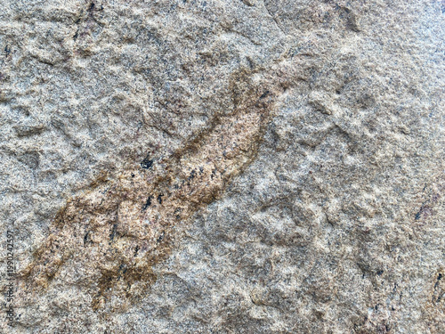Close-up of rough natural stone surface with mineral inclusions