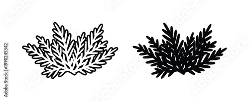 Hand drawn pine branch vector icons, black and white evergreen sprig illustrations, minimalist conifer foliage elements for winter holiday design