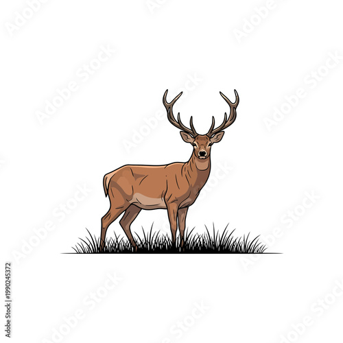 Majestic Stag Illustration Standing in Grass Vector Art